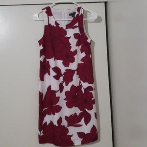 Banana Republic Dress